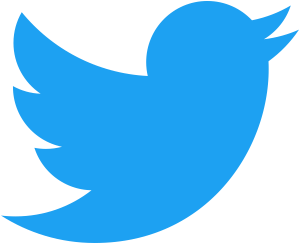 twitter logo 81 300x244 - Twitter Logo