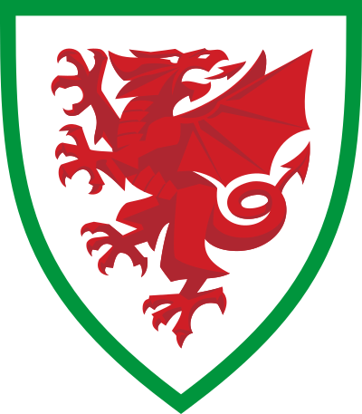 wales national football team logo 41 - Wales National Football Team Logo
