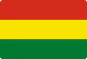 bandeira bolivia flag 41 300x205 - Flag of Bolivia