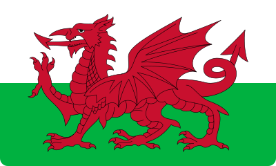 bandeira wales flag 41 - Flag of Wales